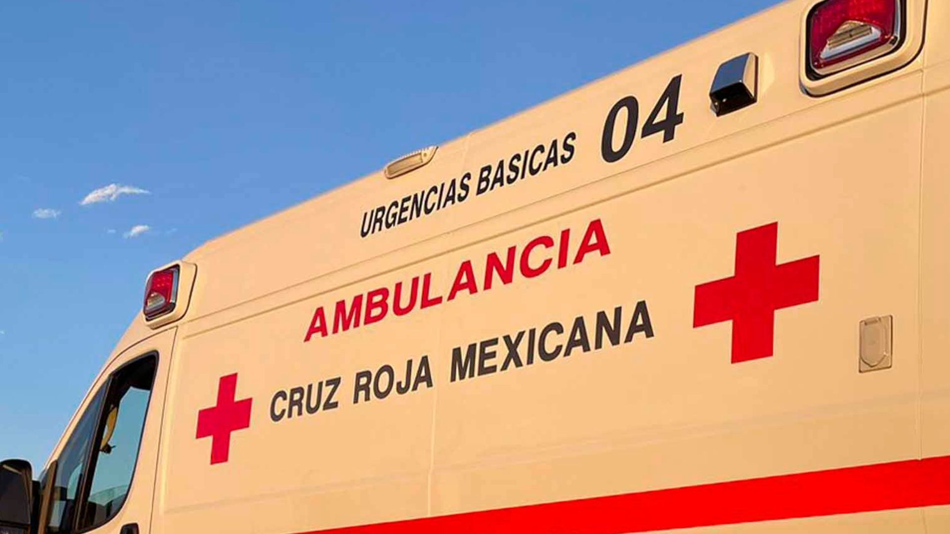 Hombre es Atacado por Perro Mientras se Dirigía su Trabajo en Torreón